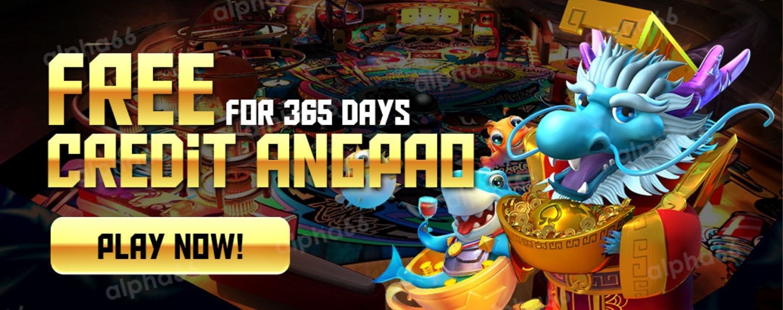 Alpha66 - Carrousel Banner 7 - ha66m