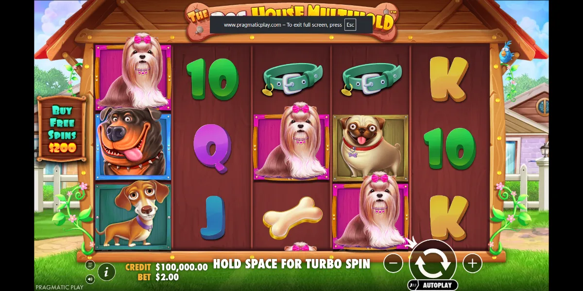 The Dog House Multihold Slot - Interface - ha66m