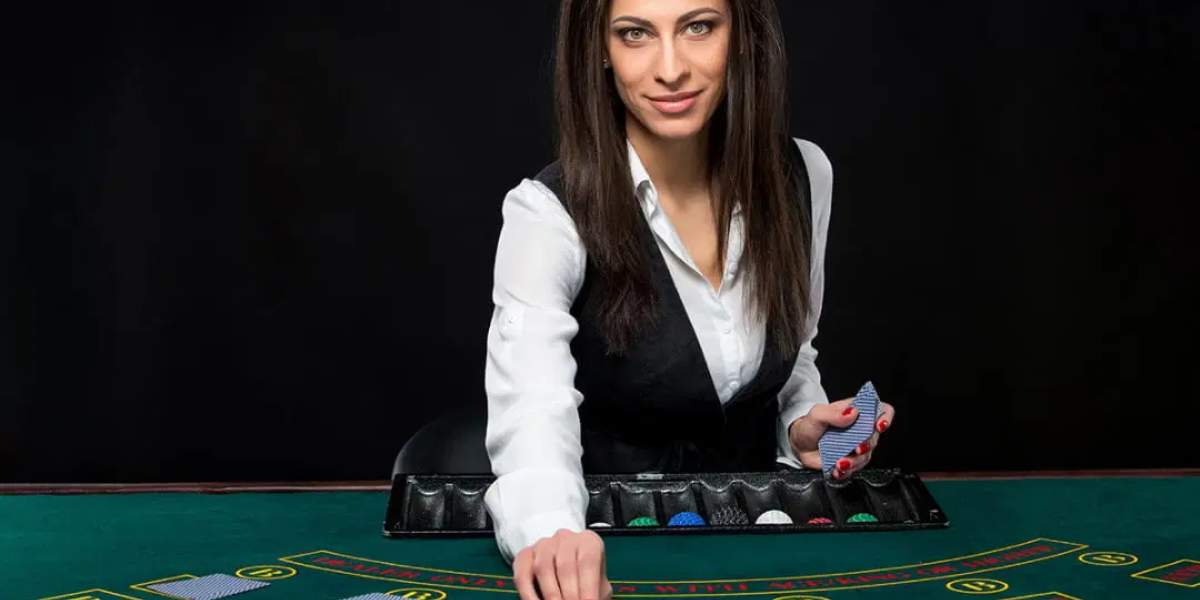 Why Players Choose Alpha66 for Live Dealer Gaming - ha66m